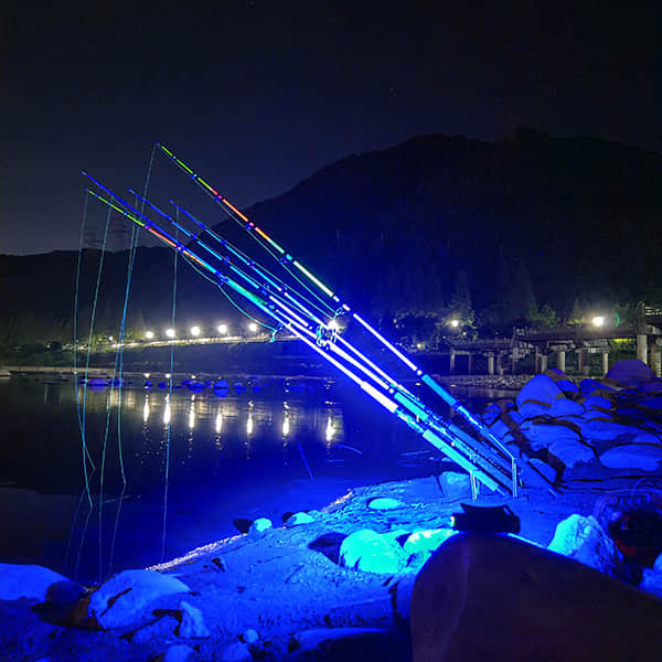 Bug-resist White & 460nm Blue light Night Carp Fishing Aluminum Head torch